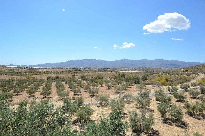 Image No.13-Cortijo de 7 chambres à vendre à Los Gallardos
