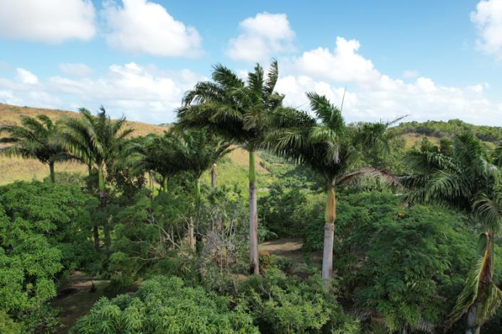 Image No.6-Chalet de 2 chambres à vendre à Old Road