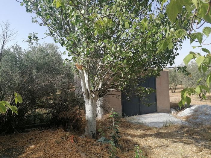 Image No.28-3 Bed Cortijo for sale