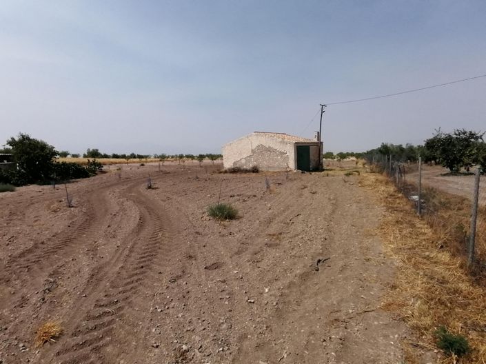 Image No.25-4 Bed Cortijo for sale