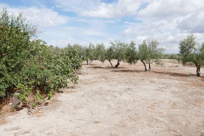 Image No.11-1 Bed Cortijo for sale