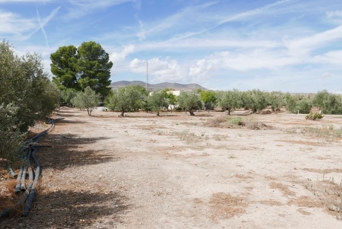 Image No.15-1 Bed Cortijo for sale