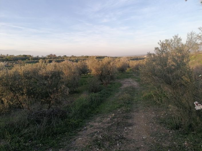 Image No.22-3 Bed Property for sale