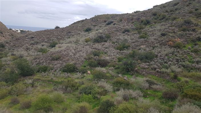 Image No.6-Maison de campagne de 7 chambres à vendre à Mojacar