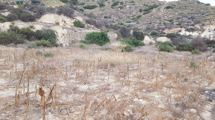 Image No.10-Propriété à vendre à Almeria