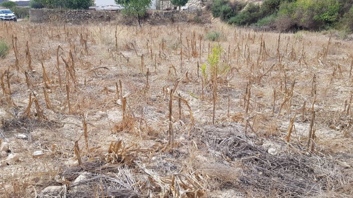 Image No.2-Propriété à vendre à Almeria