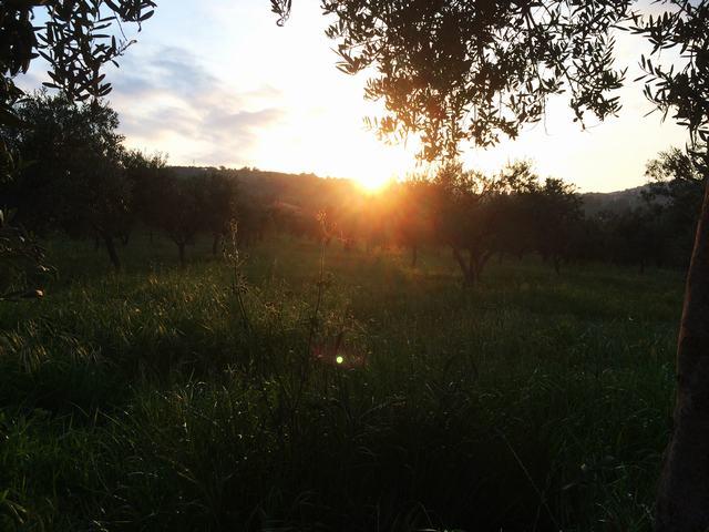 Image No.14-2 Bed Villa for sale