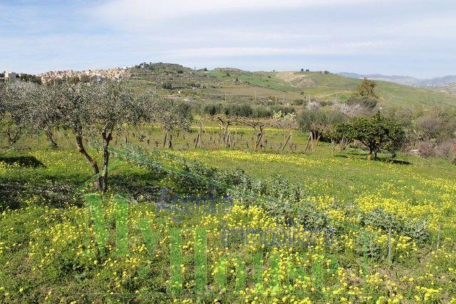 Image No.10-3 Bed Villa for sale