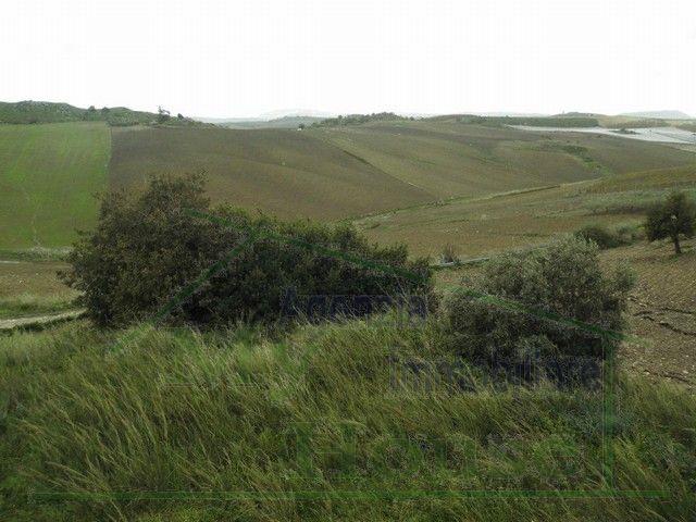 Image No.17-3 Bed Villa for sale