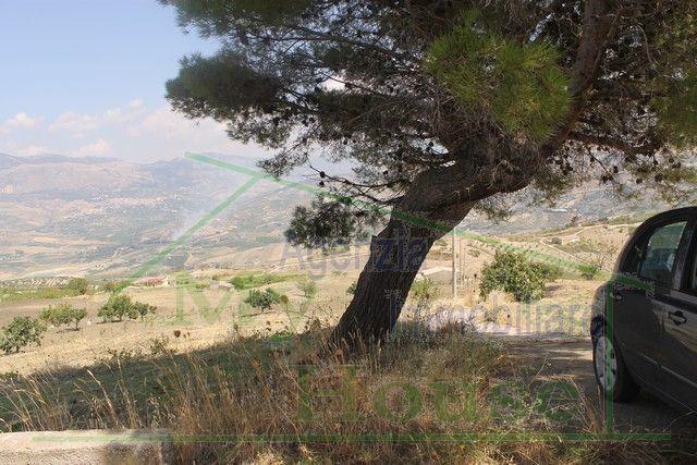 Image No.3-2 Bed Villa for sale