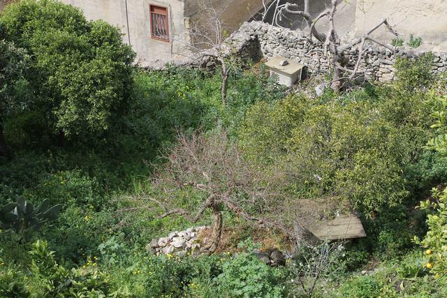 Image No.21-3 Bed House for sale