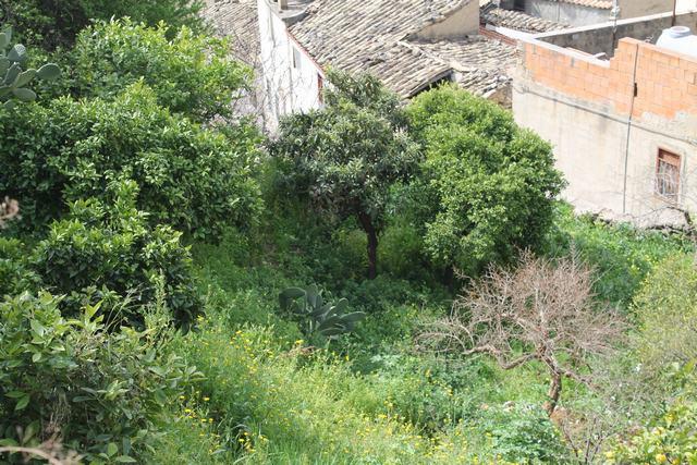 Image No.22-3 Bed House for sale