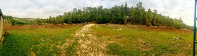 Image No.9-1 Bed Villa for sale