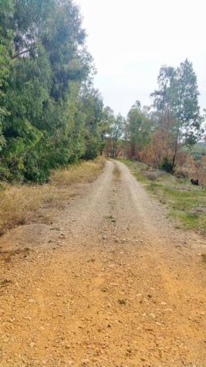 Image No.24-1 Bed Villa for sale