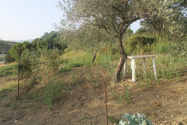 Image No.19-2 Bed Villa for sale