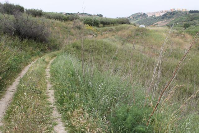 Image No.5-Land for sale