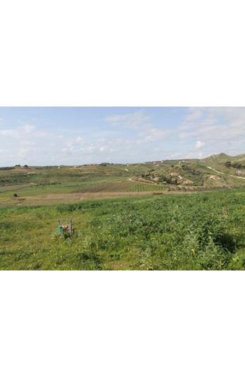 Image No.2-Land for sale