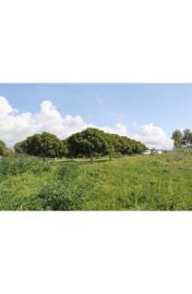 panoramic-seaside-land-teresa-torre-salsa-ag--4-