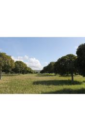 panoramic-seaside-land-teresa-torre-salsa-ag--5-