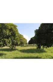 panoramic-seaside-land-teresa-torre-salsa-ag--6-