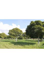 panoramic-seaside-land-teresa-torre-salsa-ag--9-