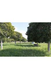 panoramic-seaside-land-teresa-torre-salsa-ag--10-