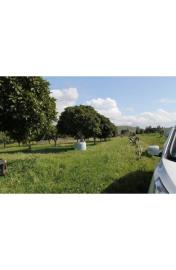 panoramic-seaside-land-teresa-torre-salsa-ag--13-