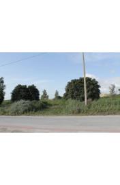 panoramic-seaside-land-teresa-torre-salsa-ag--15-