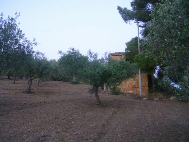 Image No.8-1 Bed Country House for sale