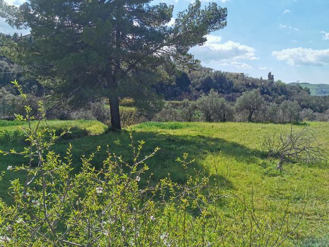 Image No.19-1 Bed Country House for sale