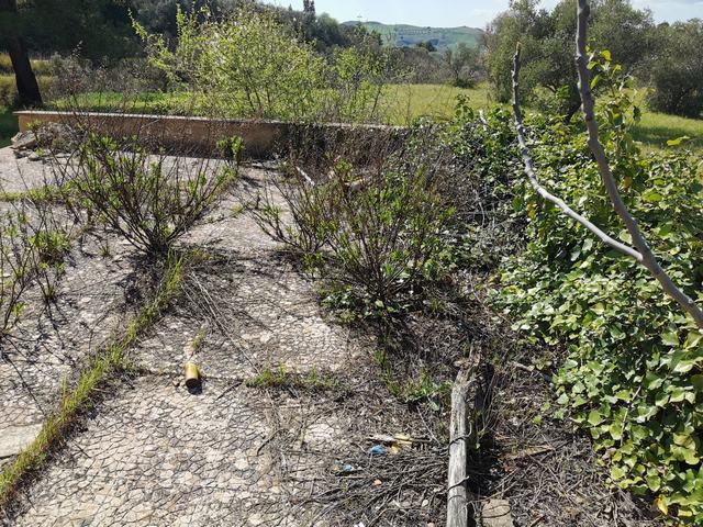 Image No.23-1 Bed Country House for sale