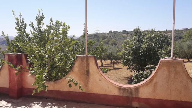 Image No.9-3 Bed Villa for sale