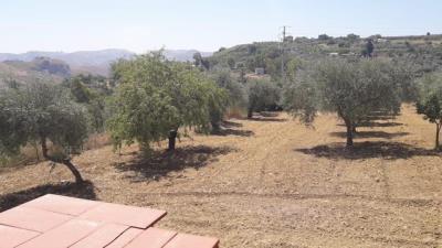 WhatsApp-Image-2023-08-11-at-18-11-49--1-