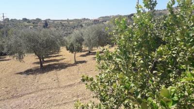 WhatsApp-Image-2023-08-11-at-18-11-49