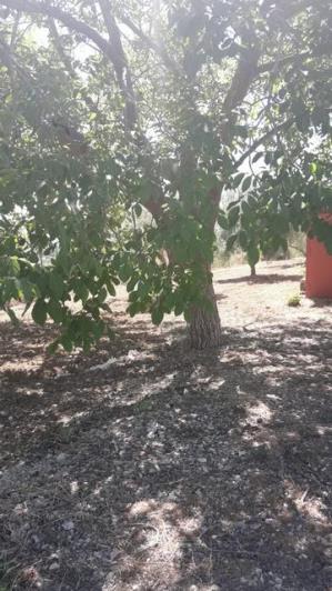 Image No.22-3 Bed Villa for sale