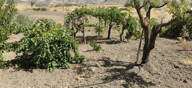 Image No.7-2 Bed Villa for sale