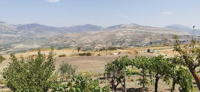 Image No.8-2 Bed Villa for sale