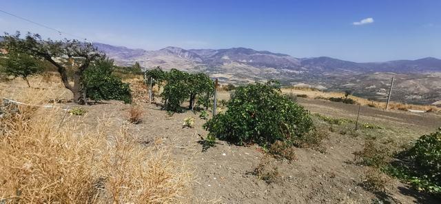 Image No.17-2 Bed Villa for sale