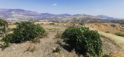 IMG_20240906_115925_resized_20240906_122247010