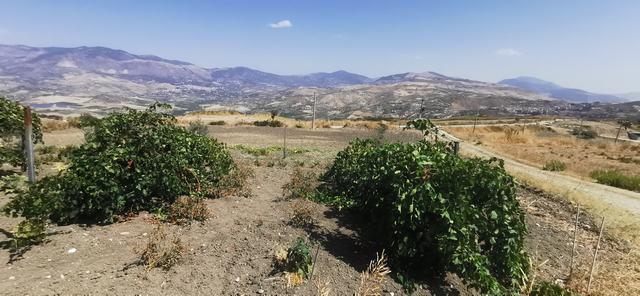 Image No.18-2 Bed Villa for sale