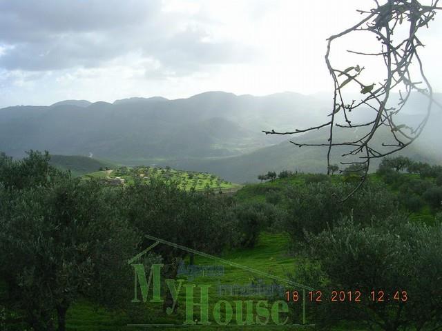 Image No.8-Maison de campagne de 1 chambre à vendre à Cianciana