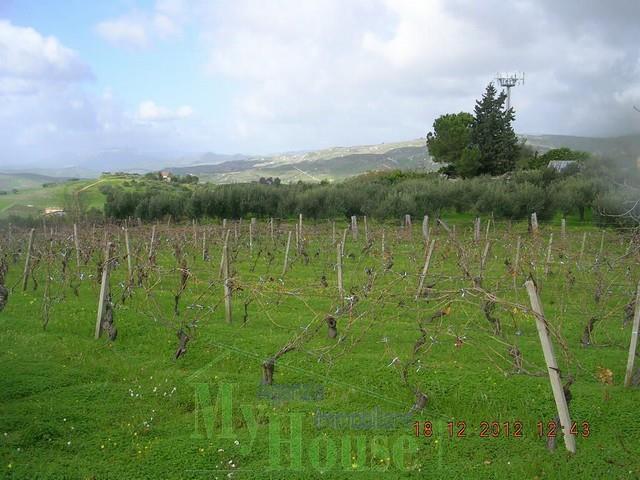 Image No.9-Maison de campagne de 1 chambre à vendre à Cianciana