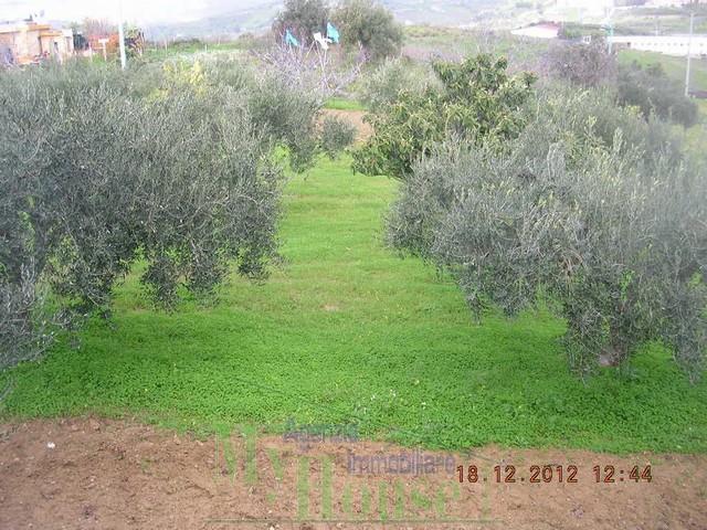 Image No.10-Maison de campagne de 1 chambre à vendre à Cianciana