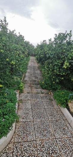 Image No.20-4 Bed Villa for sale