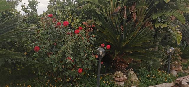 Image No.27-4 Bed Villa for sale