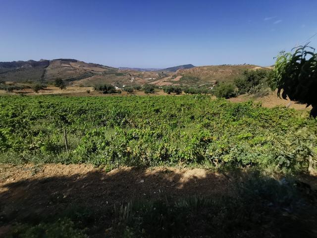 Image No.6-2 Bed Villa for sale