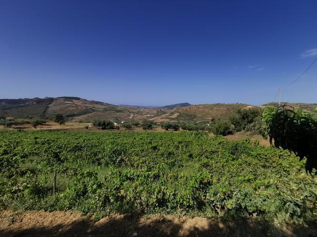 Image No.7-2 Bed Villa for sale