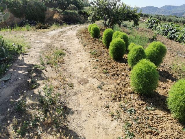 Image No.24-2 Bed Villa for sale