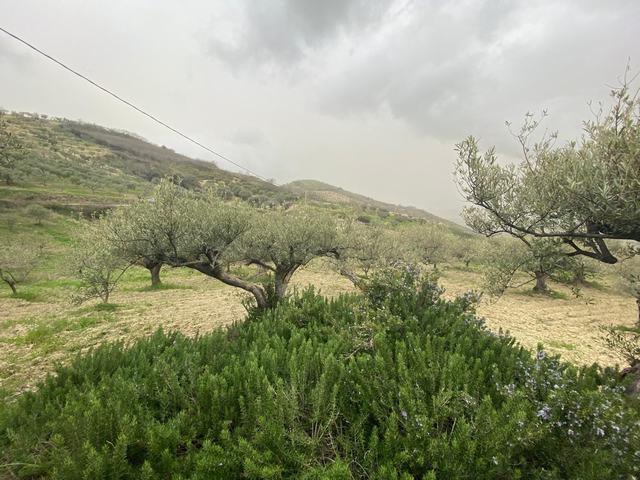 Image No.12-Maison de campagne de 1 chambre à vendre à Alessandria della Rocca