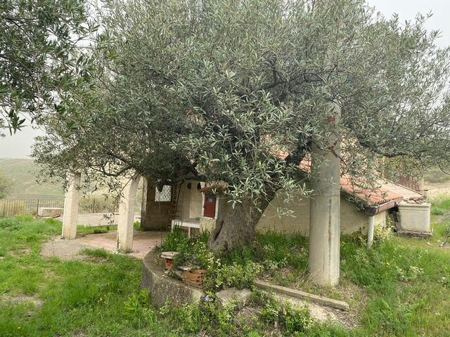 Image No.20-Maison de campagne de 1 chambre à vendre à Alessandria della Rocca